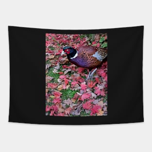 Pheasant in Autumn Tapestry