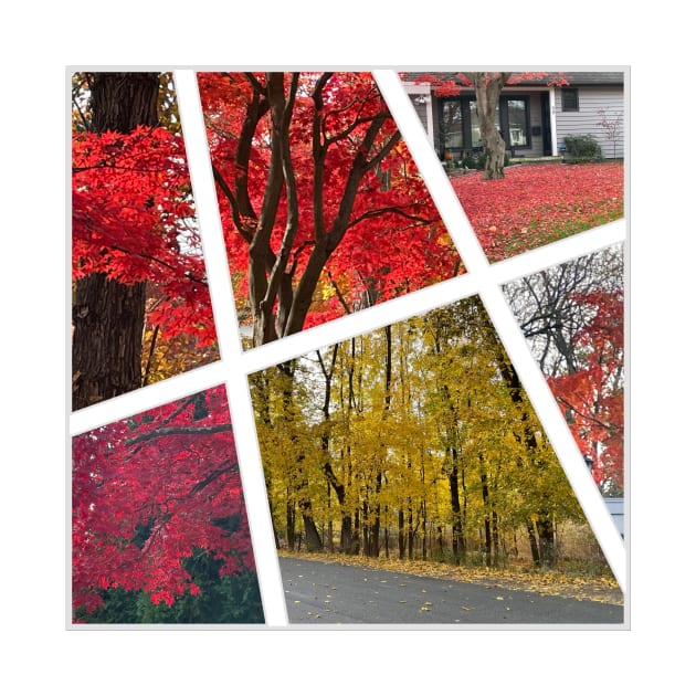 Fall Foliage Collage by Barschall