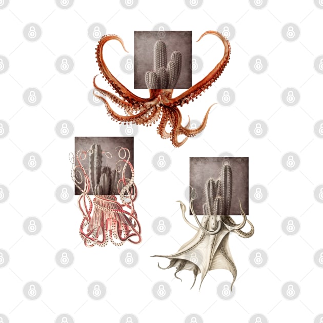 Cactopus Series by sartworks