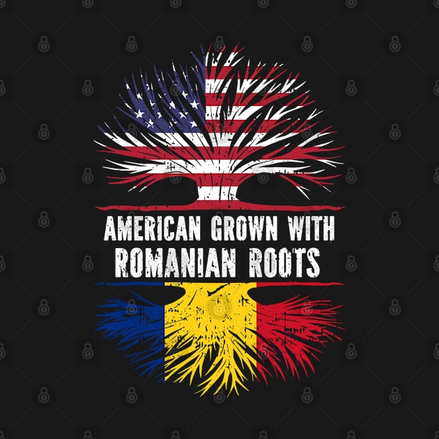 American Grown with Romanian Roots USA Flag by silvercoin