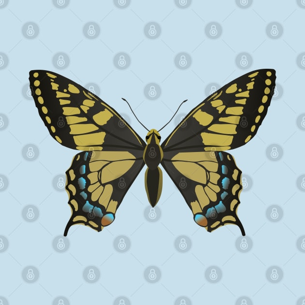 A common yellow swallowtail vector illustration by Bwiselizzy