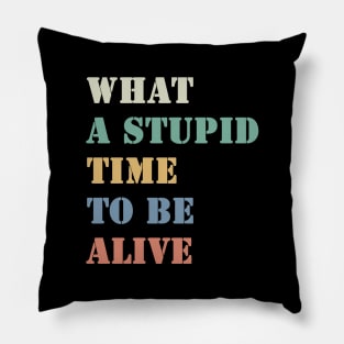 What a stupid time to be alive Pillow