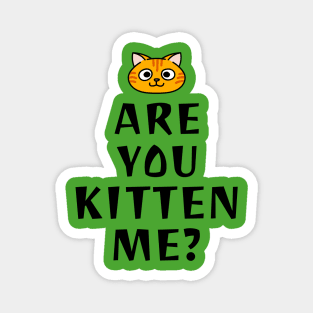 Are you kitten me Magnet