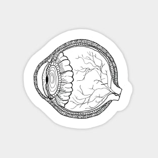 Eye Line Drawing (Black and White) Magnet