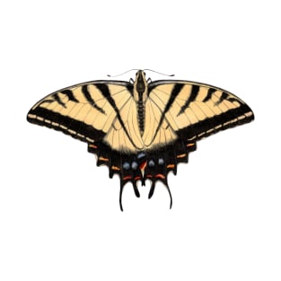 Two-tailed Swallowtail T-Shirt