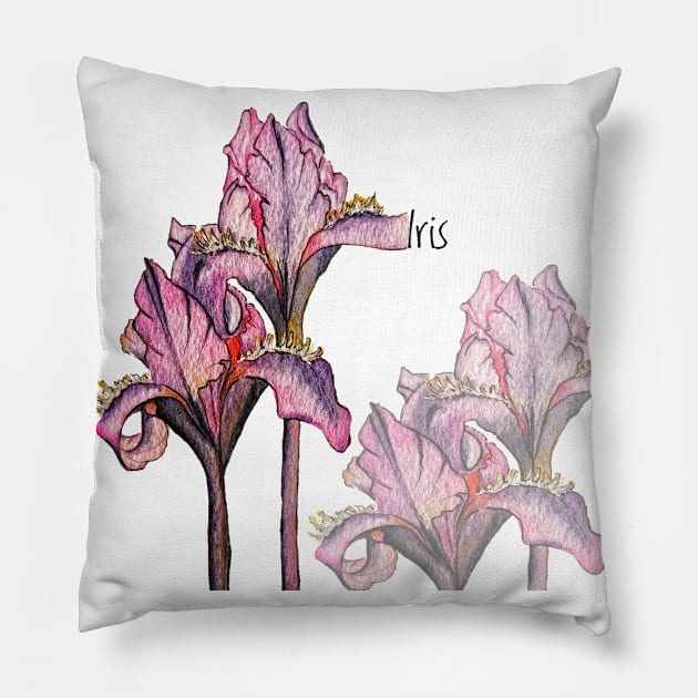 Iris Watercolor Flower Pillow by Art by Taya 