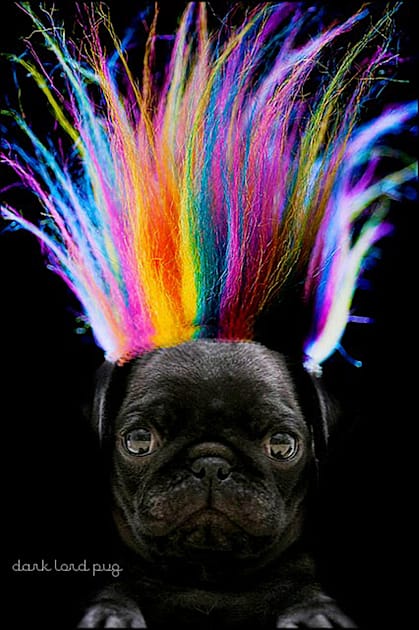 Rainbow Hair Pug Kids T-Shirt by darklordpug