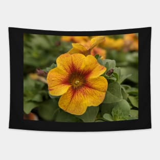 Yellow and Red Flower Photographic Image Tapestry