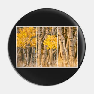 Aspens Trio Pin