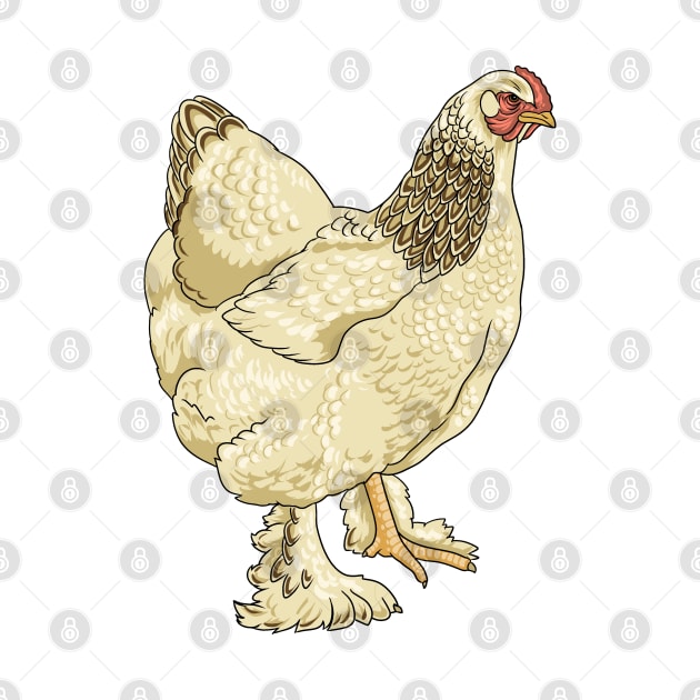 Brahma Chicken by Modern Medieval Design