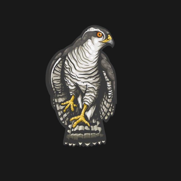 Northern Goshawk by Ginboy