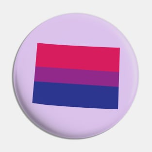 Colorado Bi Pride Pin