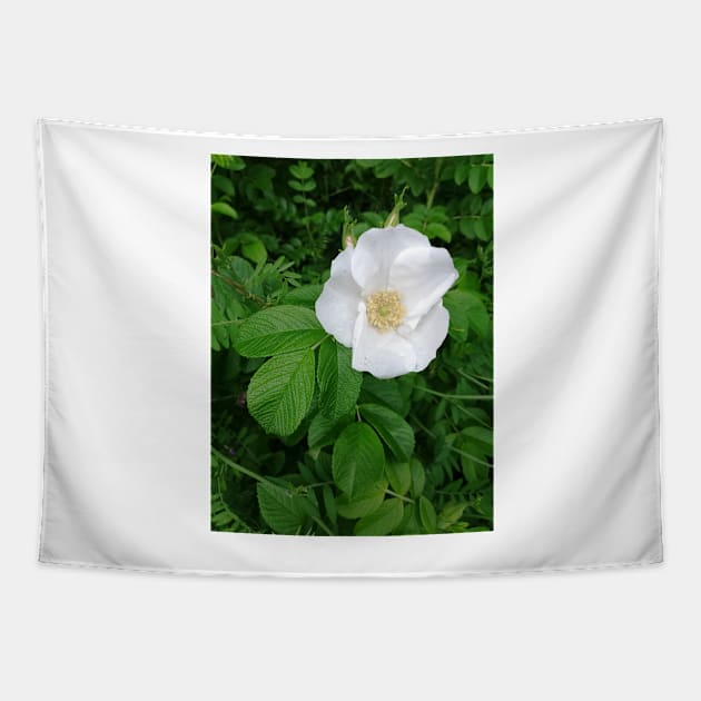 White wild rose Tapestry by esvb