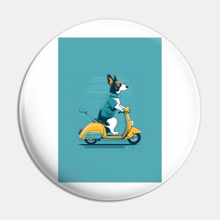 dog riding a scooter Pin