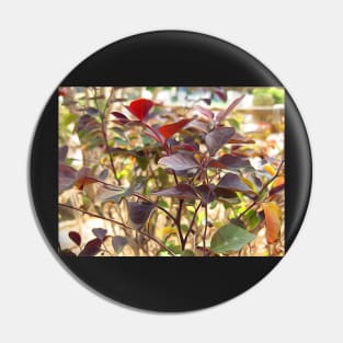 Beautiful Red Leaves Pin