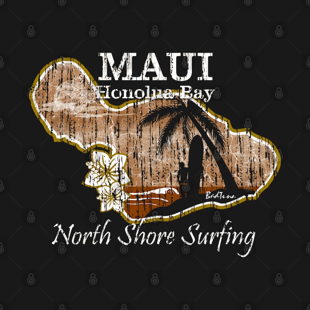 Maui Honolua Bay by badtuna