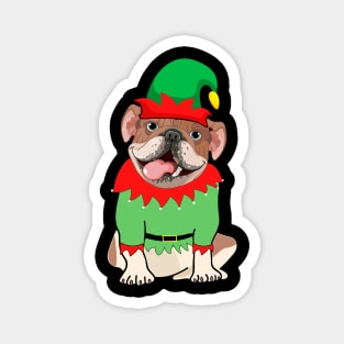 Bulldog In Elf Costume Christmas Magnet