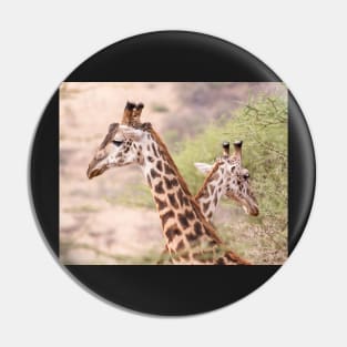 Giraffe Couple Pin