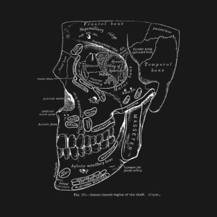 Anatomy Art Region Skull T-Shirt