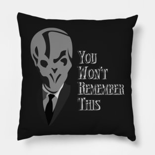 You Won't Remember This Pillow