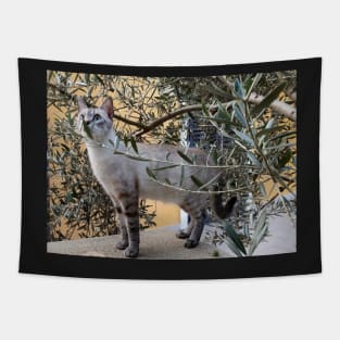 Moon Cat Luna Olive tree Birds Tapestry