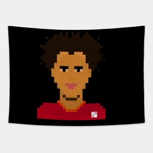 TAA 8bit Tapestry