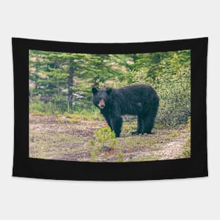 Mother Bear Tapestry