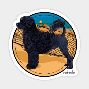 Water Dog Algarve Magnet