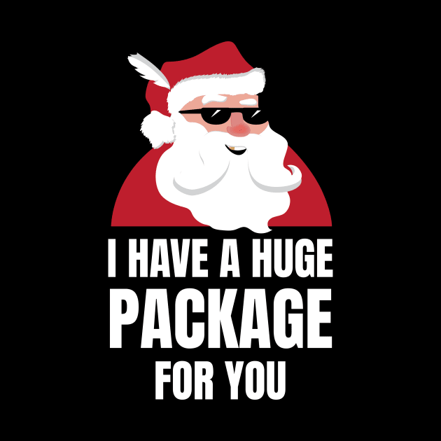 I Have A Huge Package For You Funny Christmas Joke by JustPick