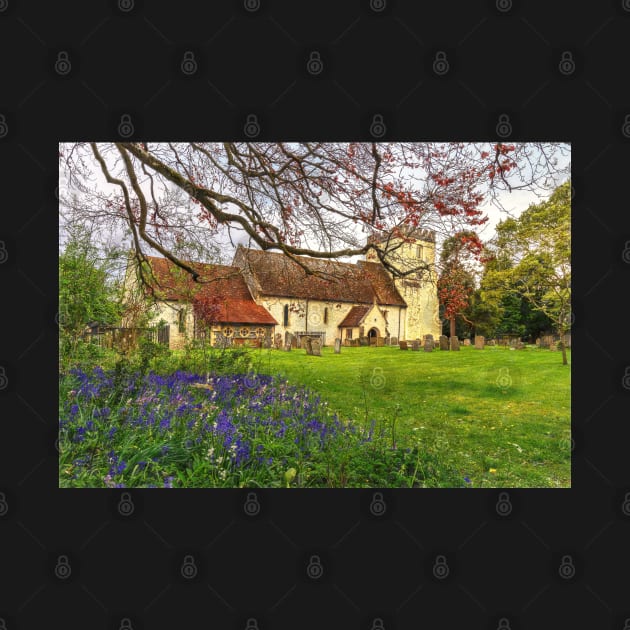 Hampstead Norreys Church and Bluebells by IanWL