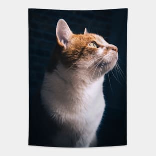 Photo of a cat looking into the light Tapestry