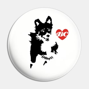 FOR BORDERCOLLIE LOVERS Pin