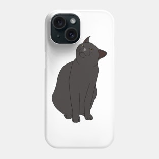 SMUG BLACK CAT MEME Phone Case