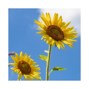 Sunflower and blue sky T-Shirt