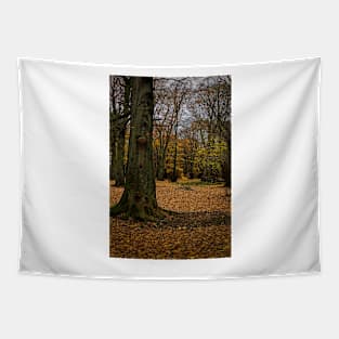 Autumn woodland walk Tapestry