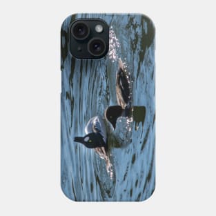 Goldeneye male showing off to the female. Phone Case