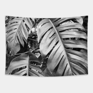 Black and white palm tree Tapestry