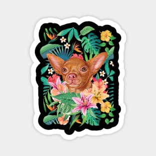 Tropical Short Haired Red Chihuahua Magnet