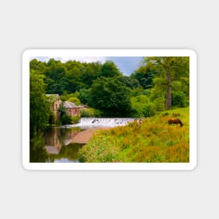 Horses in Pollok Park, Glasgow, Scotland Magnet