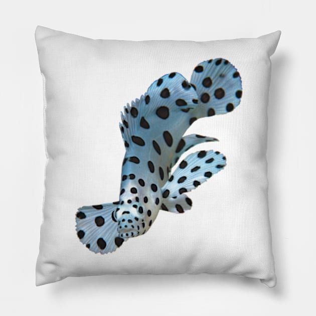 Juvenile Grouper Abstract | Underwater Art Floating Fish | Variation in White | Pillow by Ute-Niemann