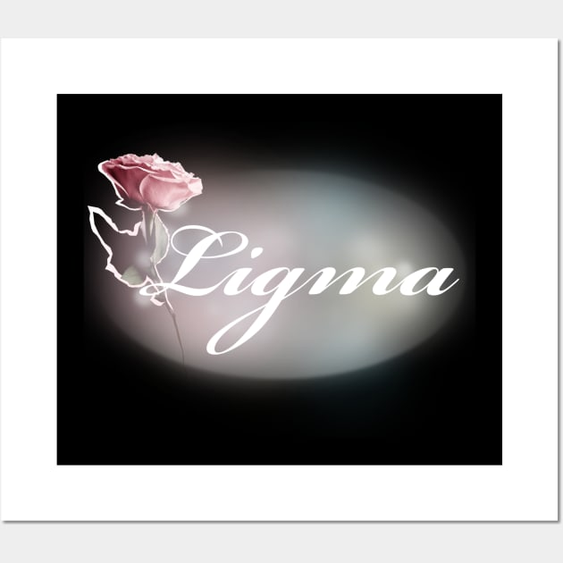 Ligma Joke Wall Art for Sale