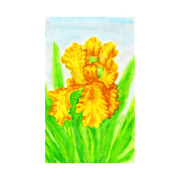 Yellow iris by IrinaAfonskaya