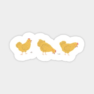 Chickens on a Walk Magnet