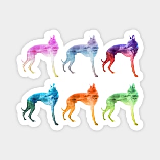 Multicoloured Whippet Waves Pop Art Magnet