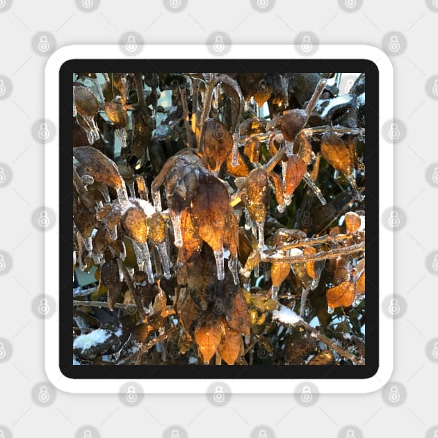 Icicle Leaves Magnet by djrunnels