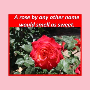 A ROSE by any other name T-Shirt