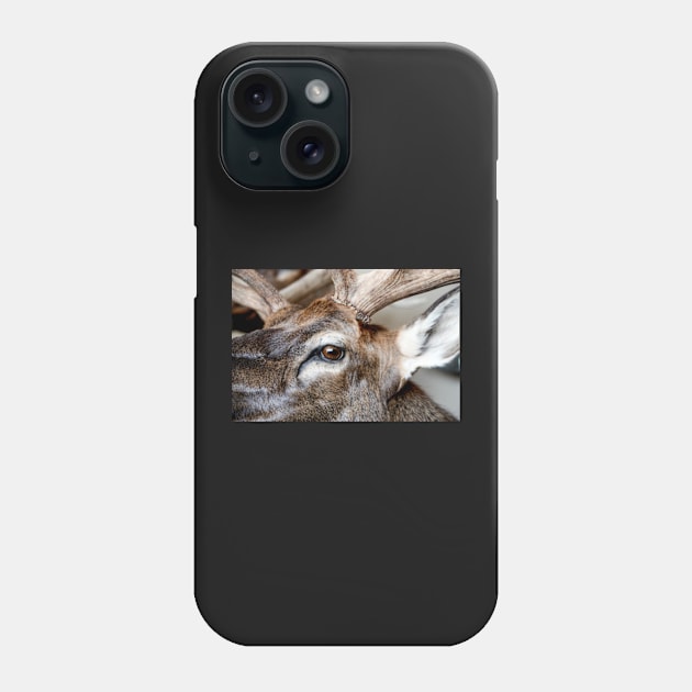 Caribou Head Phone Case by heidiannemorris