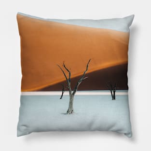 Deadvlei 2 Pillow