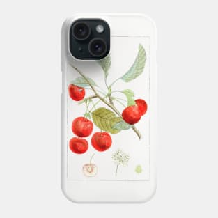 Hand drawn red cherries Phone Case