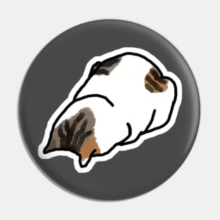 Faceplant Cat Pin